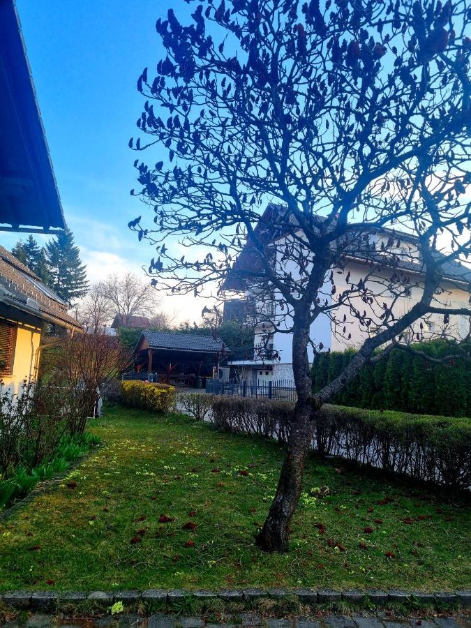 Apartma Take It Easy Bled Esterno foto